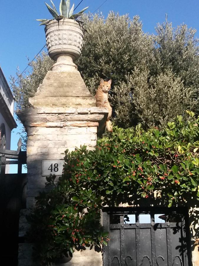 Bed and Breakfast D'Ago48 Ancona Exterior foto